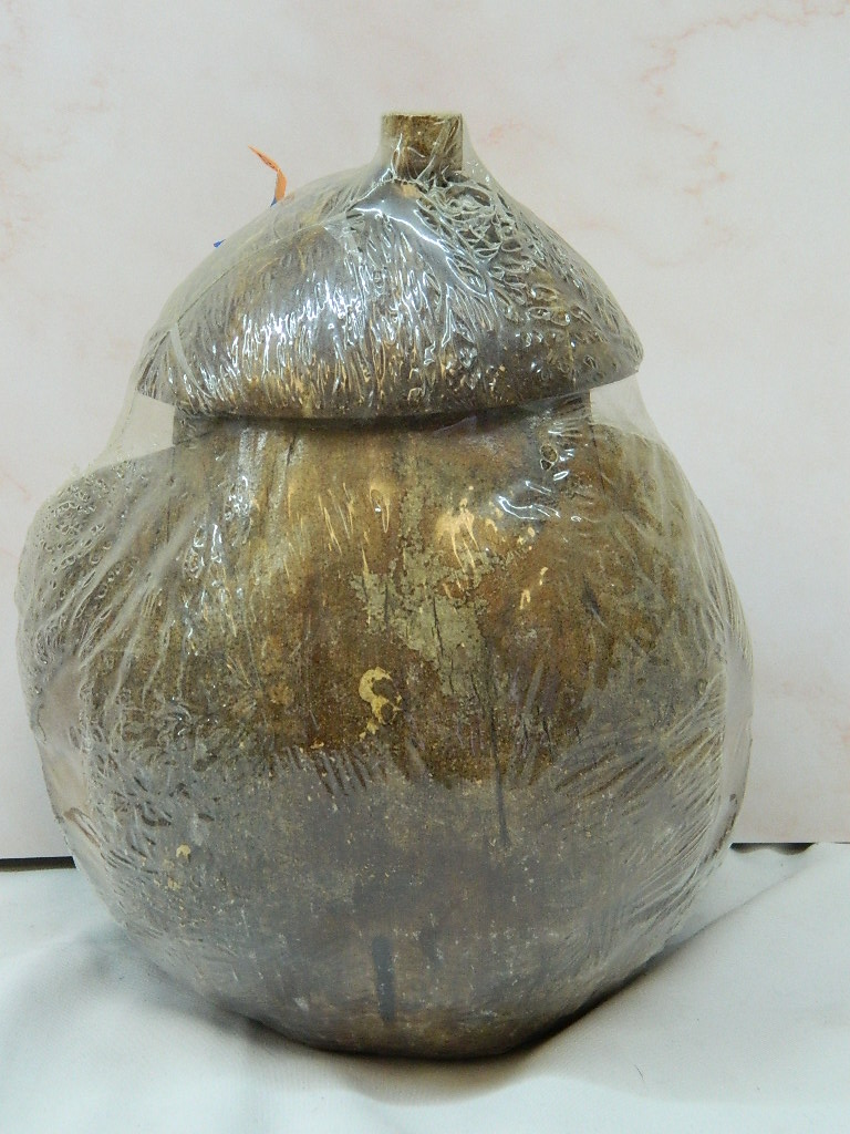 ML4255 VERY NEAT Coconut Carved Monkey Figure SEALED Says HAWAII 8.5 x