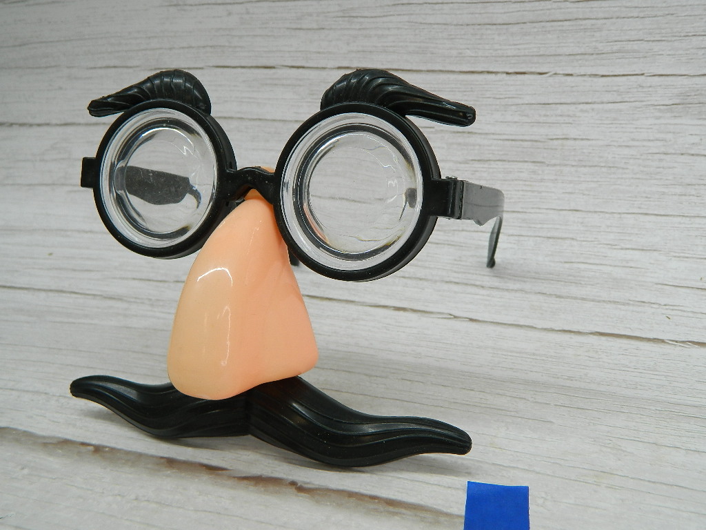 OE6343 Funny Costume Glasses w/ Nose and Mustache Wilbur Auction
